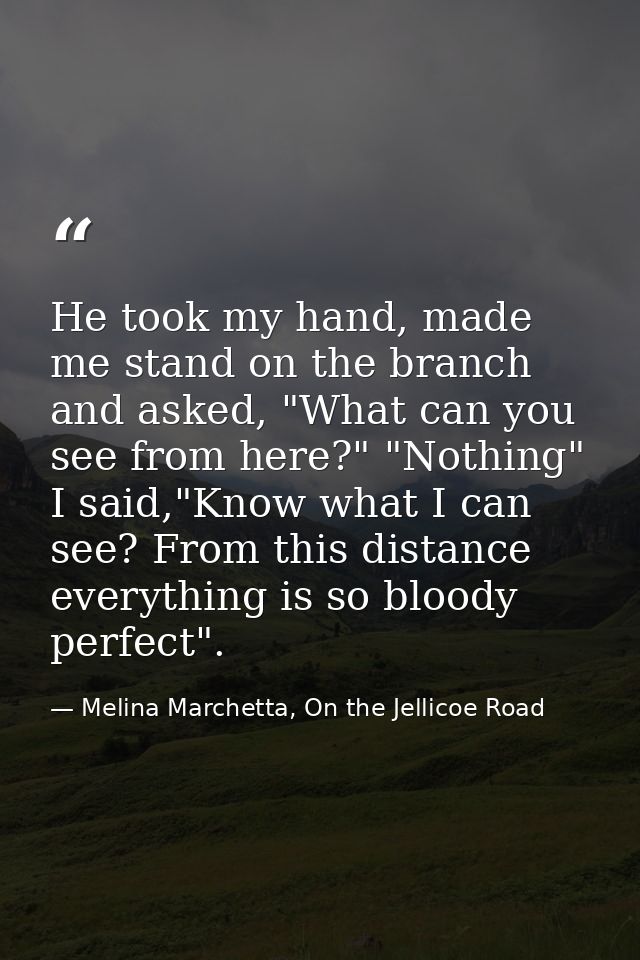 He took my hand, made me stand on the branch and asked, "What can you see from here?" "Nothing" I said,"Know what I can  — Melina Marchetta, On the Jellicoe Road