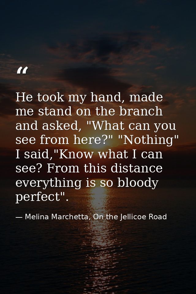 He took my hand, made me stand on the branch and asked, "What can you see from here?" "Nothing" I said,"Know what I can  — Melina Marchetta, On the Jellicoe Road