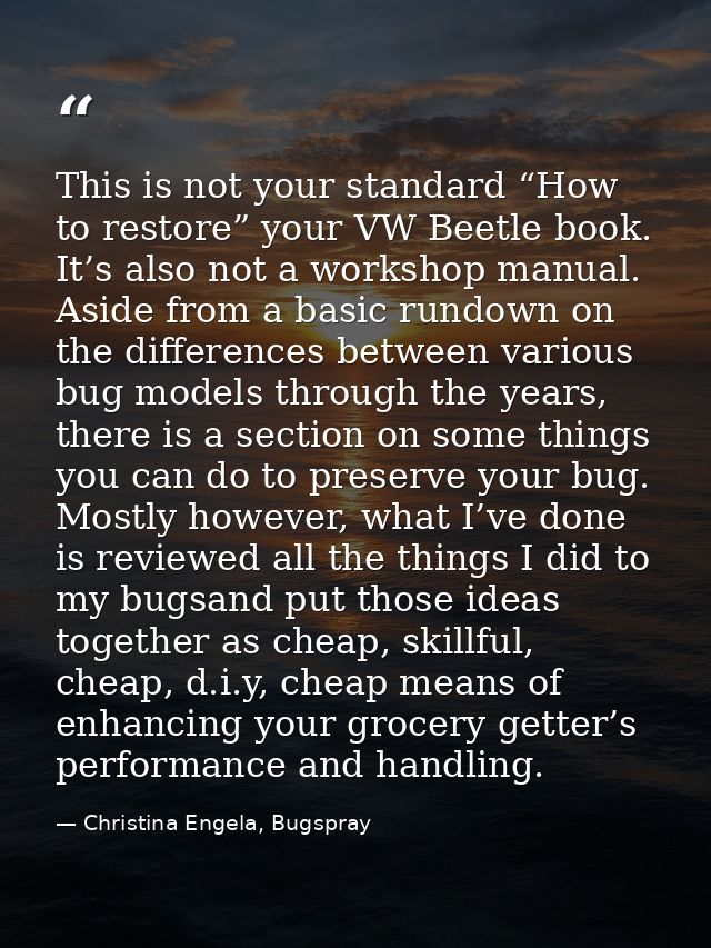 This is not your standard “How to restore” your VW Beetle book. It’s also not a workshop manual. Aside from a basic rund — Christina Engela, Bugspray