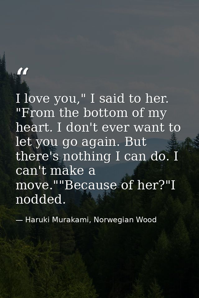 I love you," I said to her. "From the bottom of my heart. I don't ever want to let you go again. But there's nothing I c — Haruki Murakami, Norwegian Wood