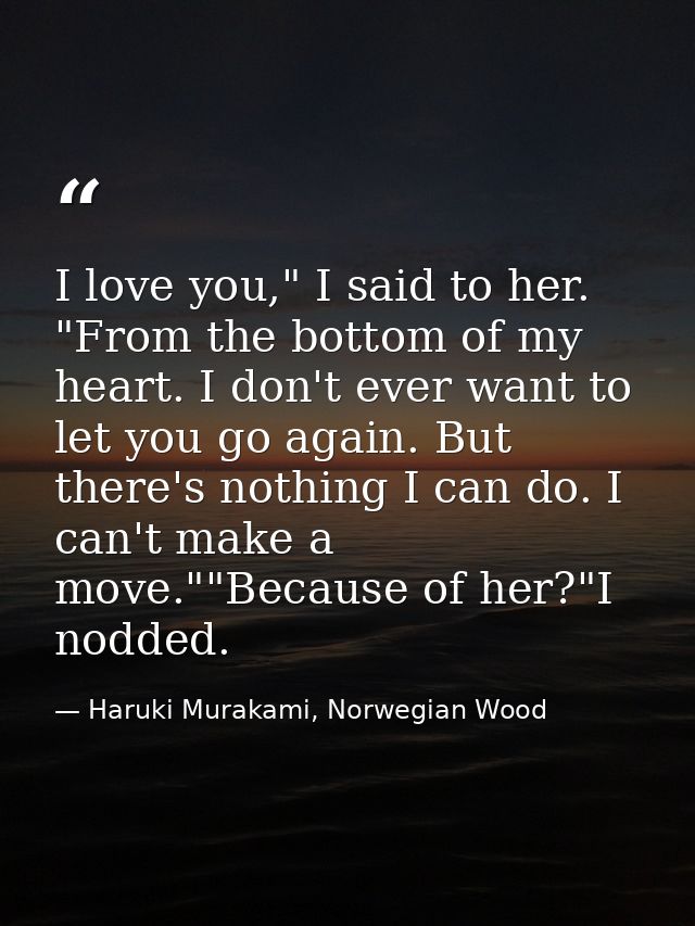I love you," I said to her. "From the bottom of my heart. I don't ever want to let you go again. But there's nothing I c — Haruki Murakami, Norwegian Wood