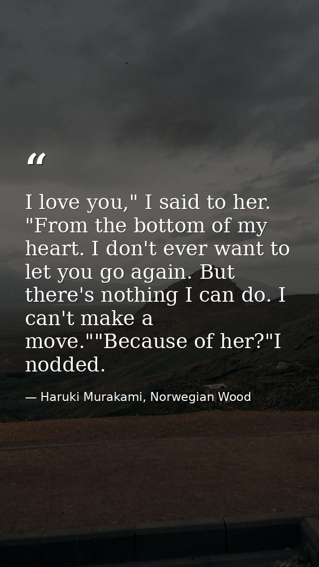 I love you," I said to her. "From the bottom of my heart. I don't ever want to let you go again. But there's nothing I c — Haruki Murakami, Norwegian Wood