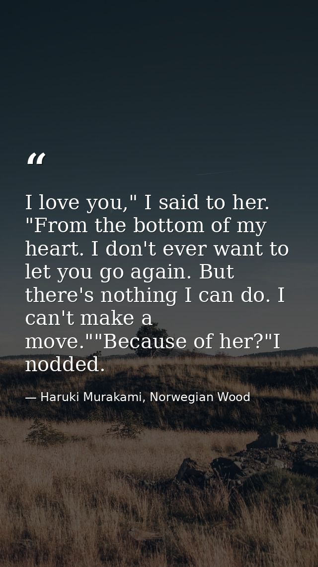 I love you," I said to her. "From the bottom of my heart. I don't ever want to let you go again. But there's nothing I c — Haruki Murakami, Norwegian Wood