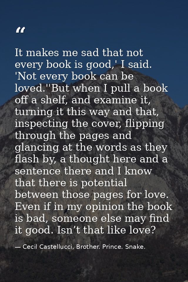 It makes me sad that not every book is good,' I said. 'Not every book can be loved.''But when I pull a book off a shelf, — Cecil Castellucci, Brother. Prince. Snake.
