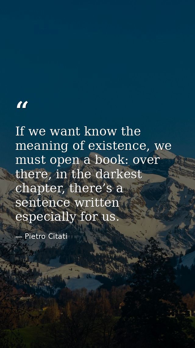 If we want know the meaning of existence, we must open a book: over there, in the darkest chapter, there’s a sentence wr — Pietro Citati