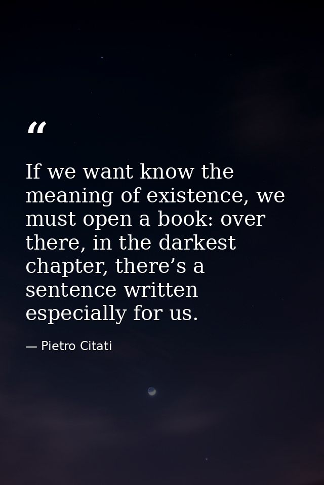 If we want know the meaning of existence, we must open a book: over there, in the darkest chapter, there’s a sentence wr — Pietro Citati