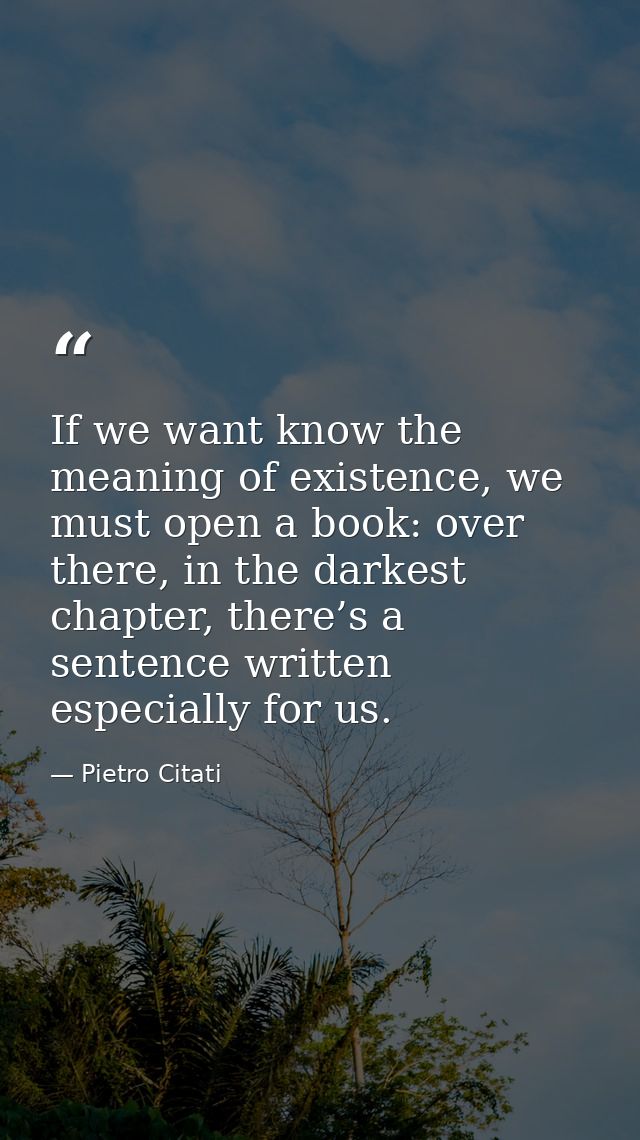 If we want know the meaning of existence, we must open a book: over there, in the darkest chapter, there’s a sentence wr — Pietro Citati