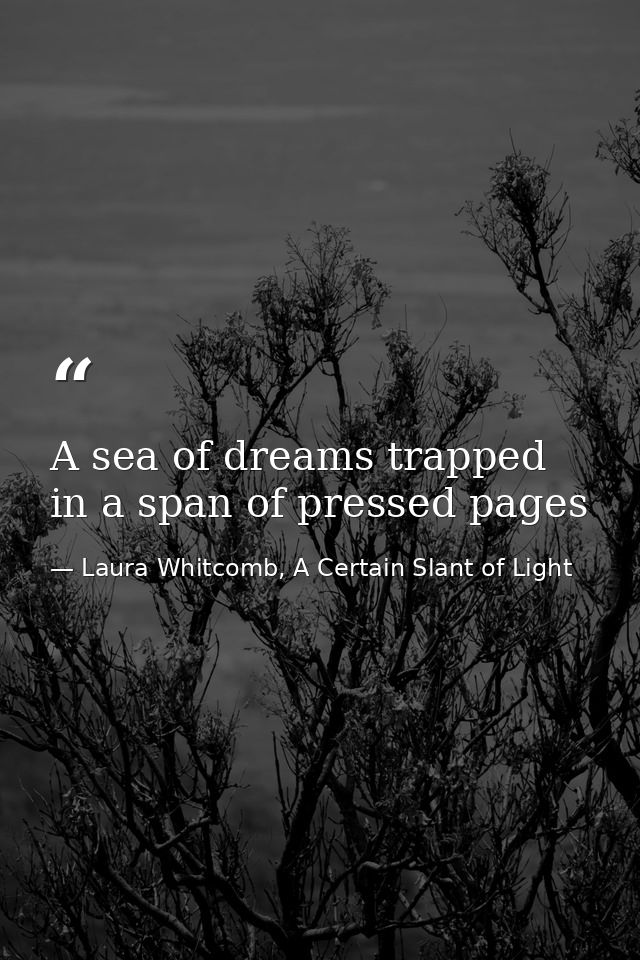 A sea of dreams trapped in a span of pressed pages — Laura Whitcomb, A Certain Slant of Light