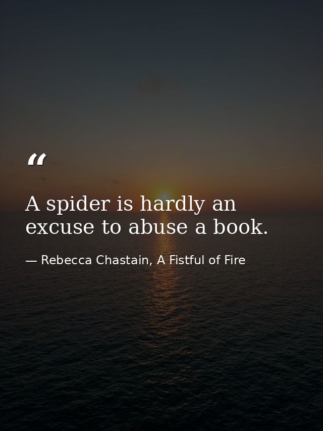A spider is hardly an excuse to abuse a book. — Rebecca Chastain, A Fistful of Fire