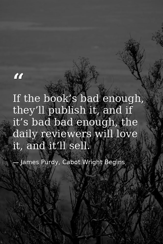 If the book’s bad enough, they’ll publish it, and if it’s bad bad enough, the daily reviewers will love it, and it’ll se — James Purdy, Cabot Wright Begins
