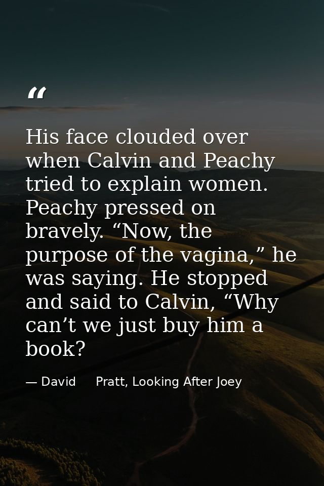 His face clouded over when Calvin and Peachy tried to explain women. Peachy pressed on bravely. “Now, the purpose of the — David     Pratt, Looking After Joey