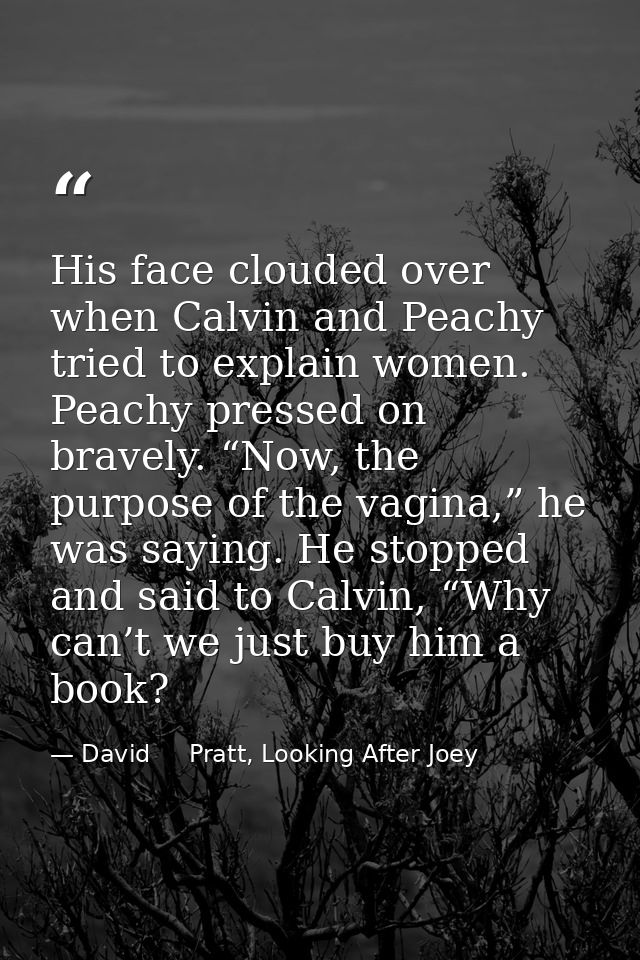 His face clouded over when Calvin and Peachy tried to explain women. Peachy pressed on bravely. “Now, the purpose of the — David     Pratt, Looking After Joey