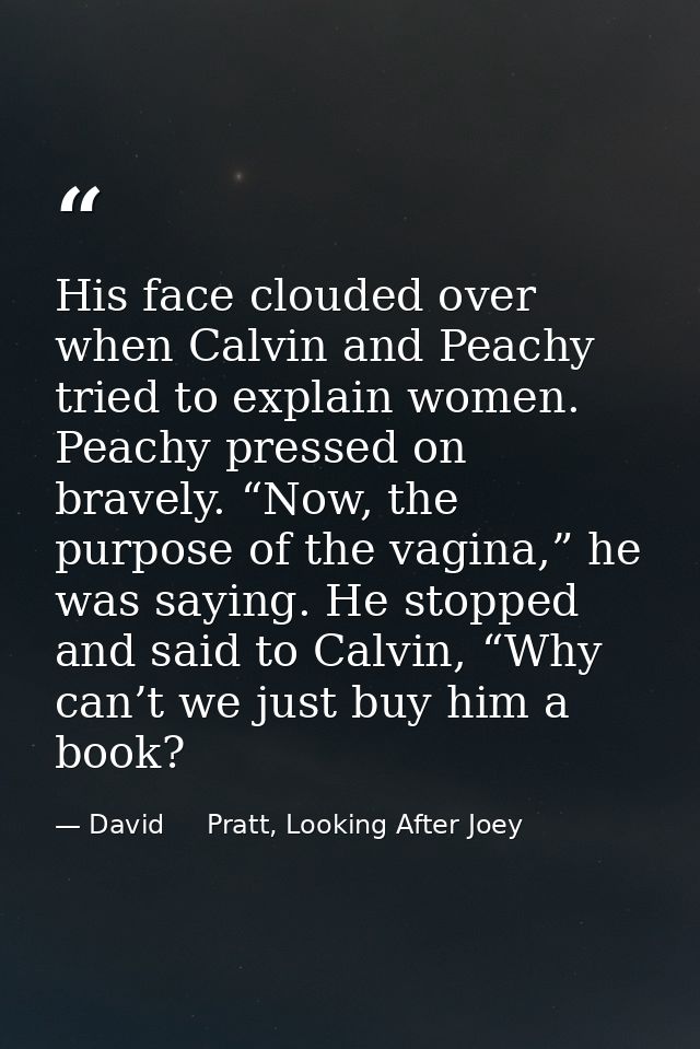 His face clouded over when Calvin and Peachy tried to explain women. Peachy pressed on bravely. “Now, the purpose of the — David     Pratt, Looking After Joey