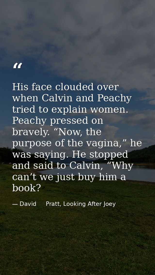 His face clouded over when Calvin and Peachy tried to explain women. Peachy pressed on bravely. “Now, the purpose of the — David     Pratt, Looking After Joey