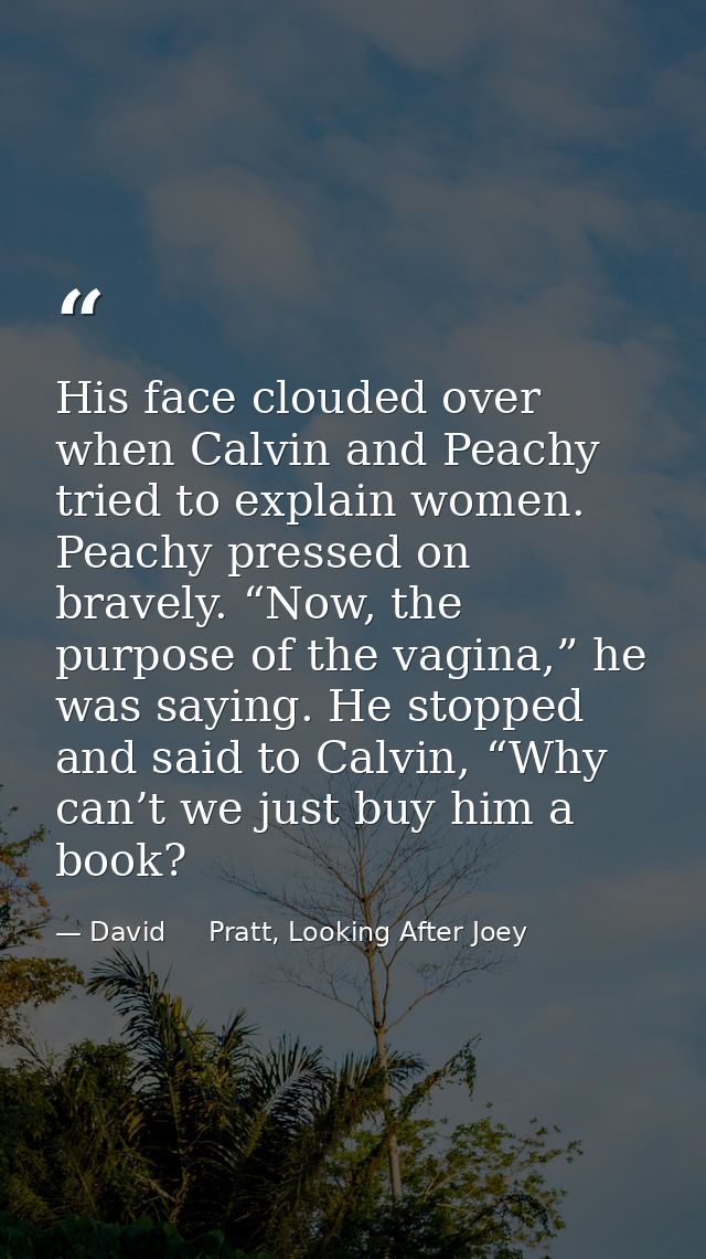 His face clouded over when Calvin and Peachy tried to explain women. Peachy pressed on bravely. “Now, the purpose of the — David     Pratt, Looking After Joey