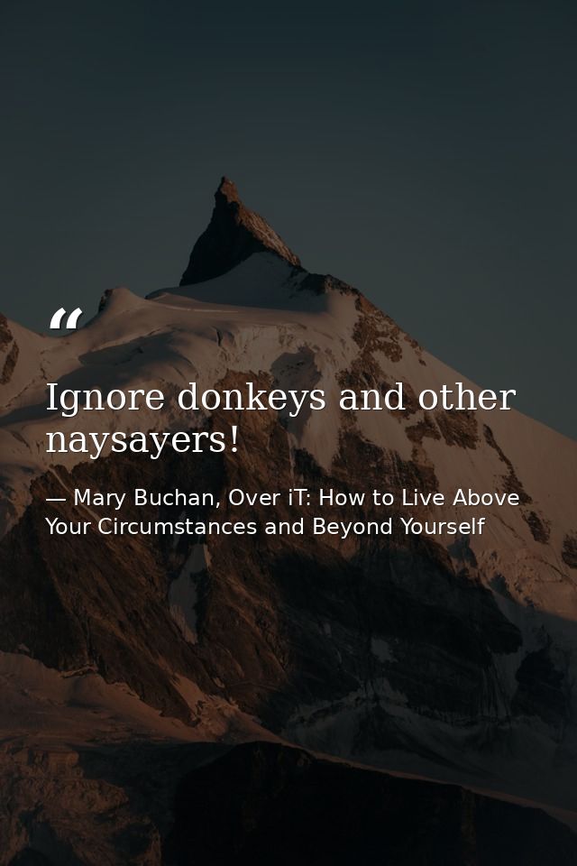 Ignore donkeys and other naysayers! — Mary Buchan, Over iT: How to Live Above Your Circumstances and Beyond Yourself