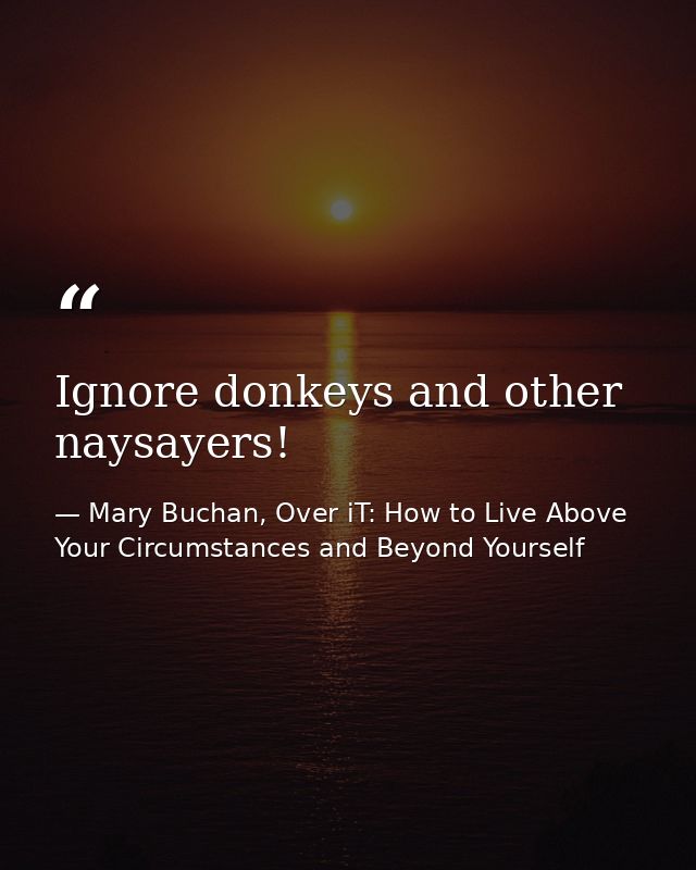Ignore donkeys and other naysayers! — Mary Buchan, Over iT: How to Live Above Your Circumstances and Beyond Yourself