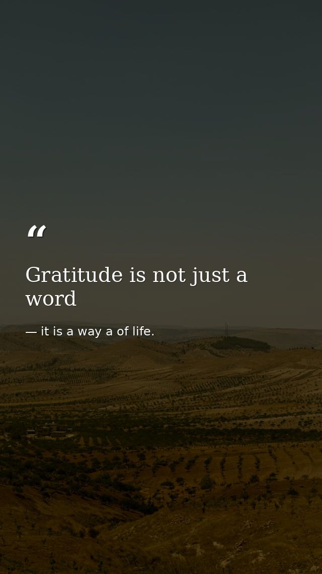 Gratitude is not just a word — it is a way a of life.