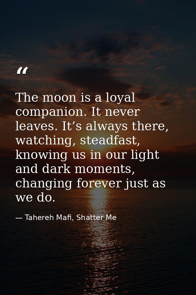 The moon is a loyal companion. It never leaves. It’s always there, watching, steadfast, knowing us in our light and dark — Tahereh Mafi, Shatter Me