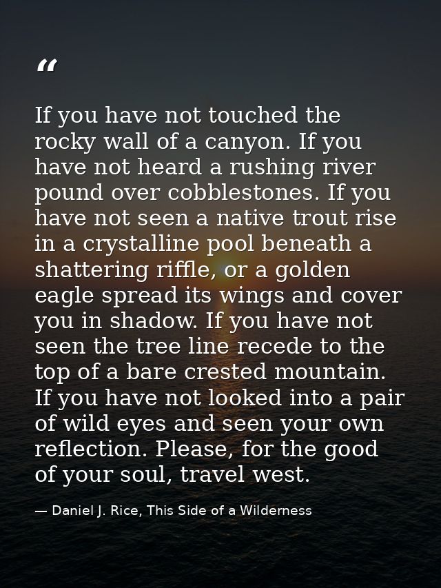 If you have not touched the rocky wall of a canyon. If you have not heard a rushing river pound over cobblestones. If yo — Daniel J. Rice, This Side of a Wilderness