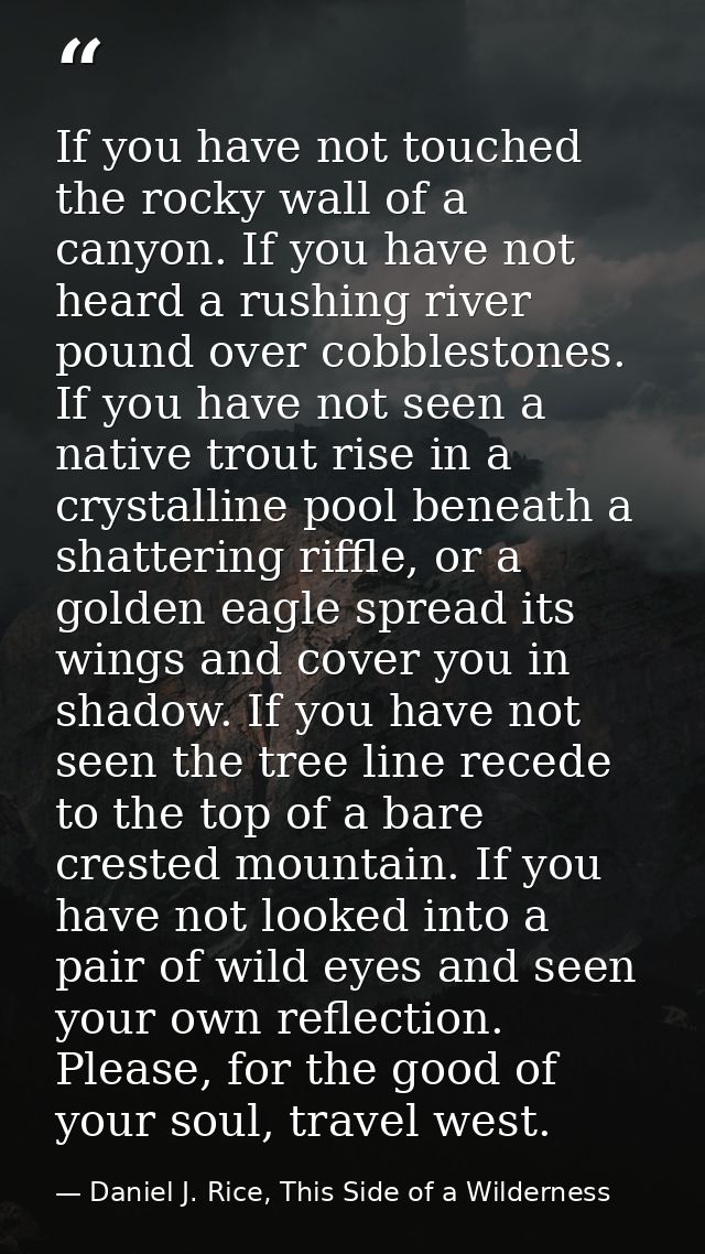 If you have not touched the rocky wall of a canyon. If you have not heard a rushing river pound over cobblestones. If yo — Daniel J. Rice, This Side of a Wilderness