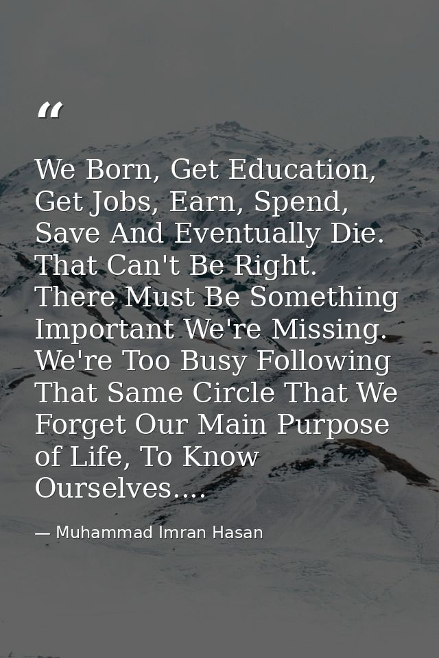 We Born, Get Education, Get Jobs, Earn, Spend, Save And Eventually Die. That Can't Be Right. There Must Be Something Imp — Muhammad Imran Hasan