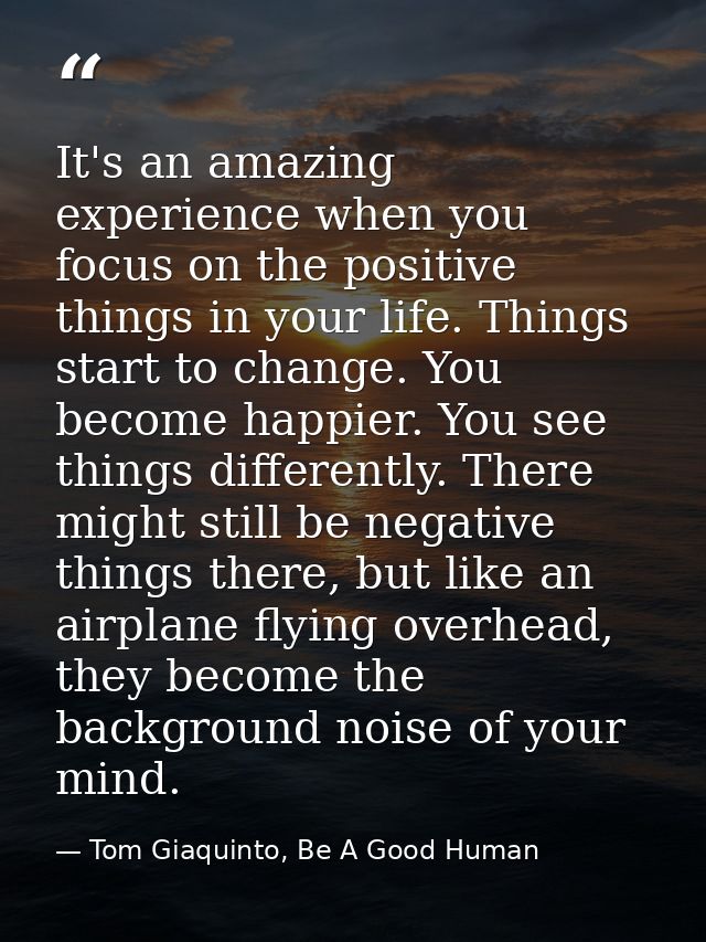 It's an amazing experience when you focus on the positive things in your life. Things start to change. You become happie — Tom Giaquinto, Be A Good Human