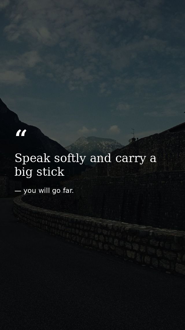 Speak softly and carry a big stick — you will go far.