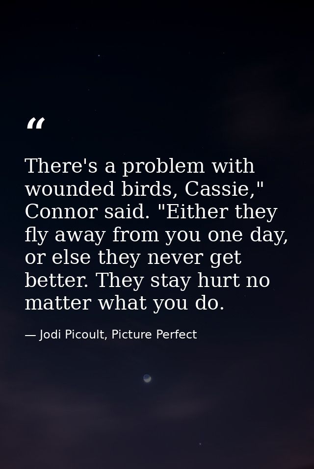 There's a problem with wounded birds, Cassie," Connor said. "Either they fly away from you one day, or else they never g — Jodi Picoult, Picture Perfect