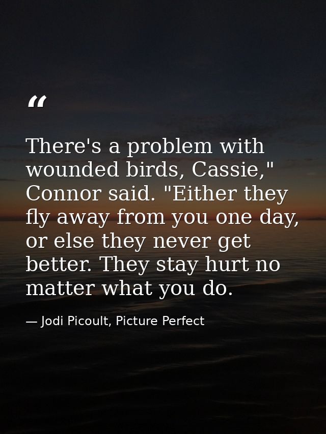 There's a problem with wounded birds, Cassie," Connor said. "Either they fly away from you one day, or else they never g — Jodi Picoult, Picture Perfect