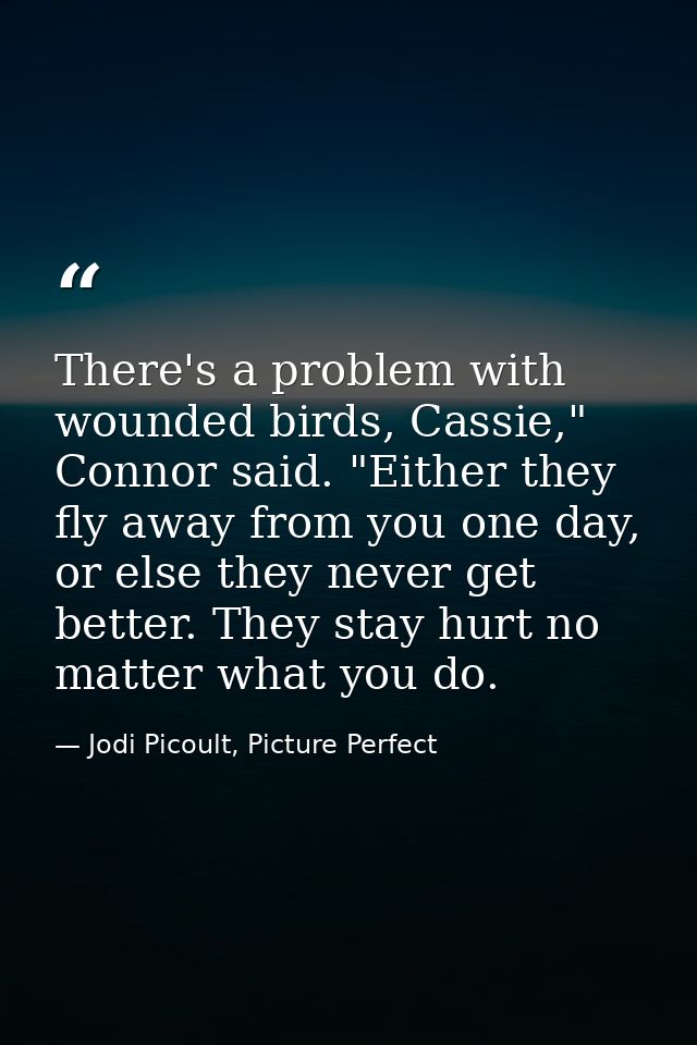 There's a problem with wounded birds, Cassie," Connor said. "Either they fly away from you one day, or else they never g — Jodi Picoult, Picture Perfect