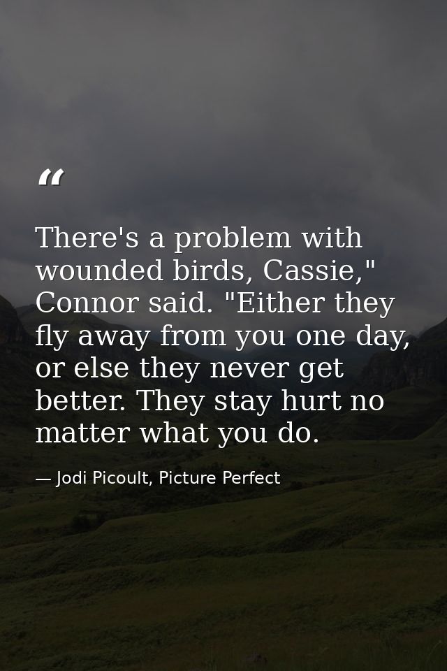 There's a problem with wounded birds, Cassie," Connor said. "Either they fly away from you one day, or else they never g — Jodi Picoult, Picture Perfect