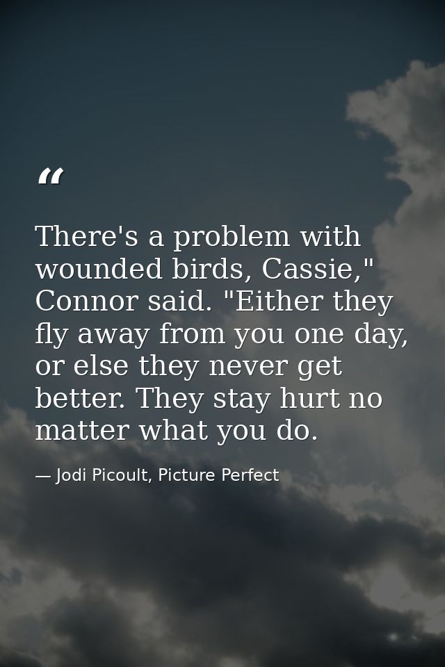 There's a problem with wounded birds, Cassie," Connor said. "Either they fly away from you one day, or else they never g — Jodi Picoult, Picture Perfect