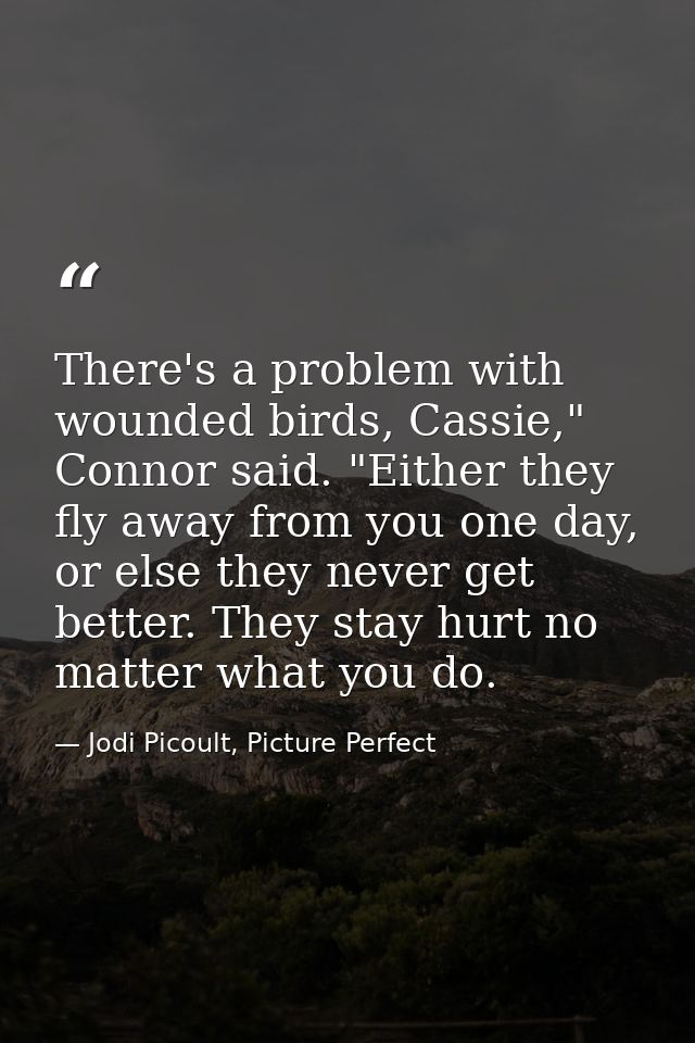 There's a problem with wounded birds, Cassie," Connor said. "Either they fly away from you one day, or else they never g — Jodi Picoult, Picture Perfect