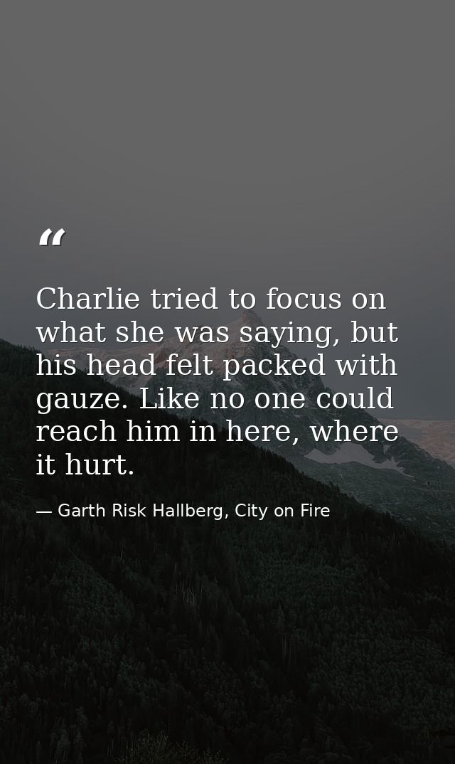 Charlie tried to focus on what she was saying, but his head felt packed with gauze. Like no one could reach him in here, — Garth Risk Hallberg, City on Fire