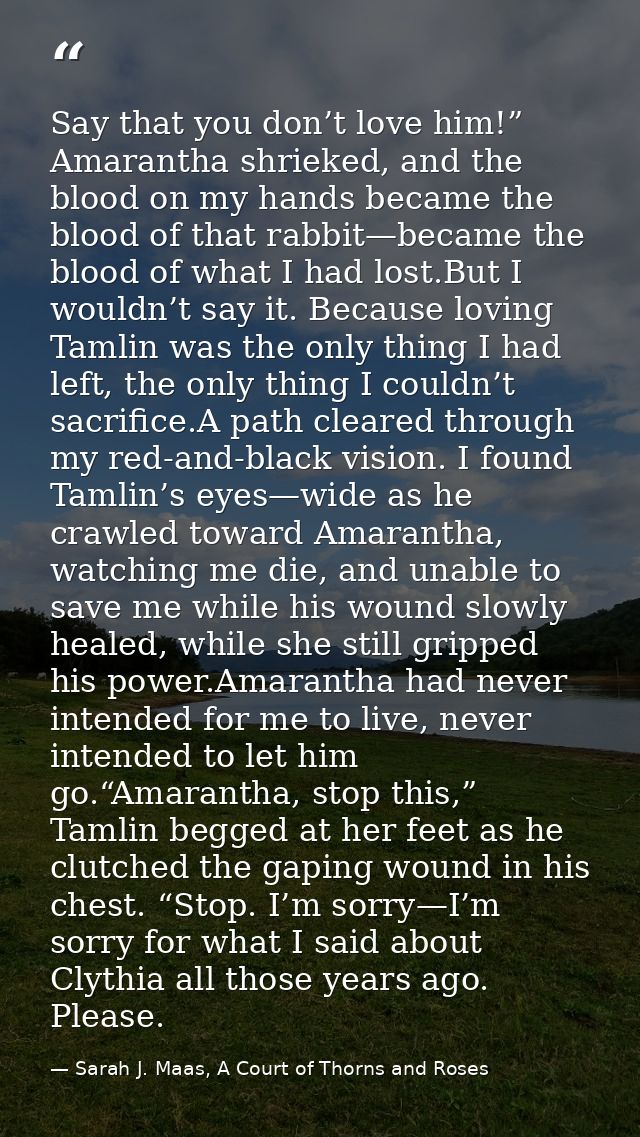 Say that you don’t love him!” Amarantha shrieked, and the blood on my hands became the blood of that rabbit—became the b — Sarah J. Maas, A Court of Thorns and Roses
