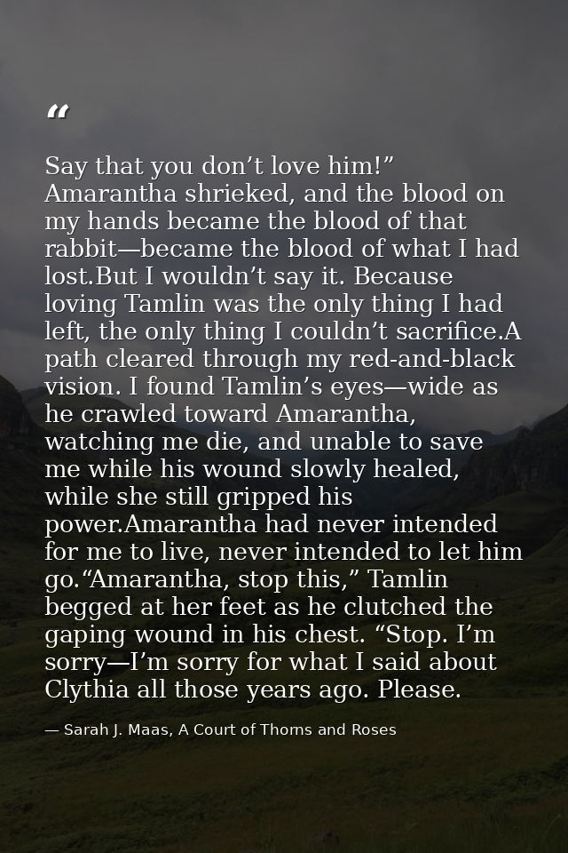 Say that you don’t love him!” Amarantha shrieked, and the blood on my hands became the blood of that rabbit—became the b — Sarah J. Maas, A Court of Thorns and Roses