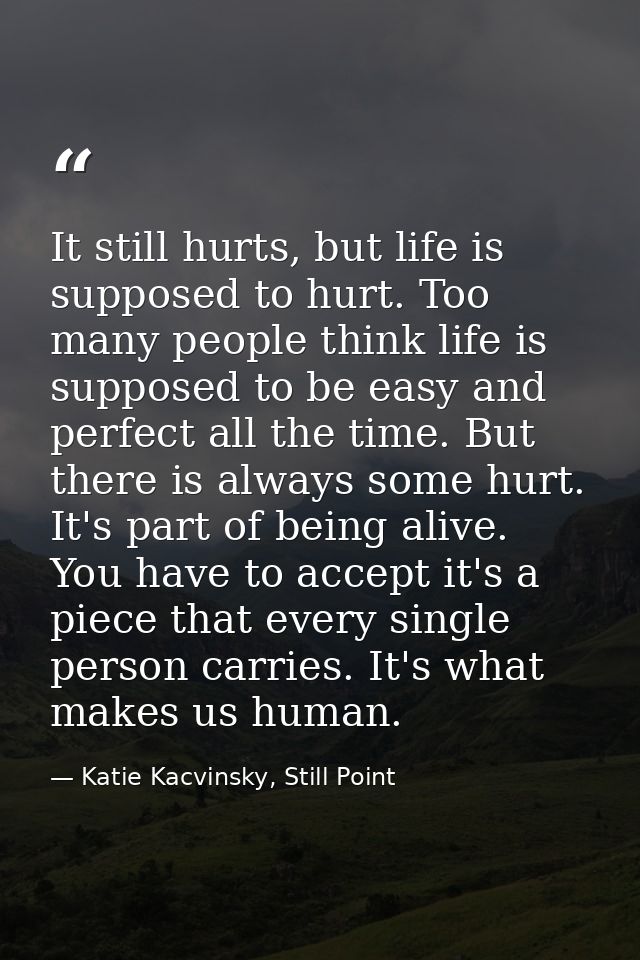It still hurts, but life is supposed to hurt. Too many people think life is supposed to be easy and perfect all the time — Katie Kacvinsky, Still Point