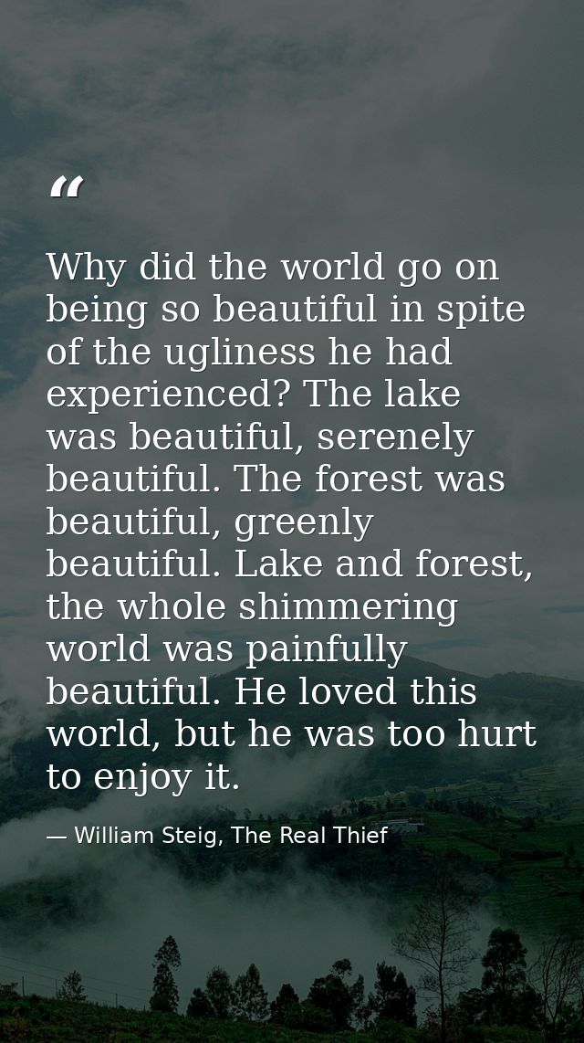 Why did the world go on being so beautiful in spite of the ugliness he had experienced? The lake was beautiful, serenely — William Steig, The Real Thief