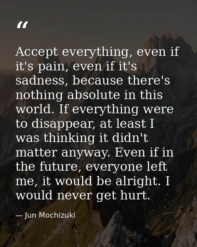 Accept everything, even if it's pain, even if it's sadness, because there's nothing absolute in this world. If everythin — Jun Mochizuki