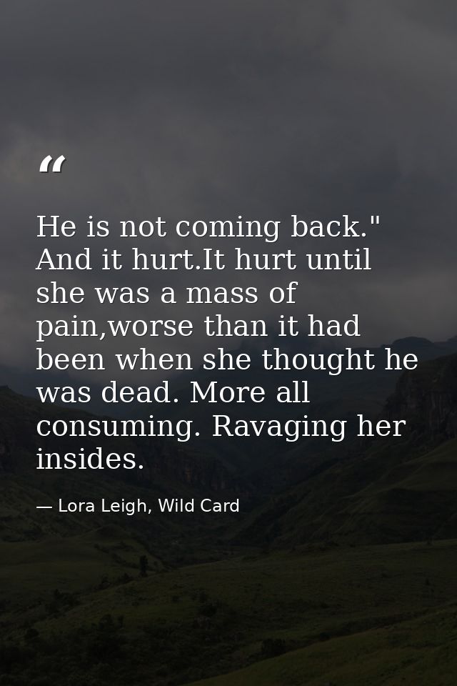 He is not coming back." And it hurt.It hurt until she was a mass of pain,worse than it had been when she thought he was  — Lora Leigh, Wild Card