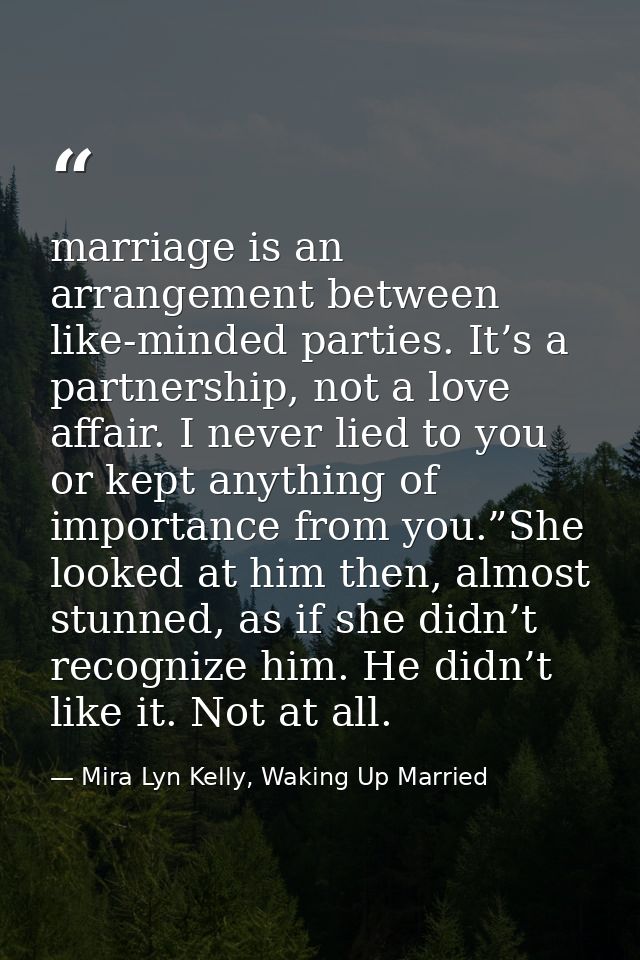 marriage is an arrangement between like-minded parties. It’s a partnership, not a love affair. I never lied to you or ke — Mira Lyn Kelly, Waking Up Married