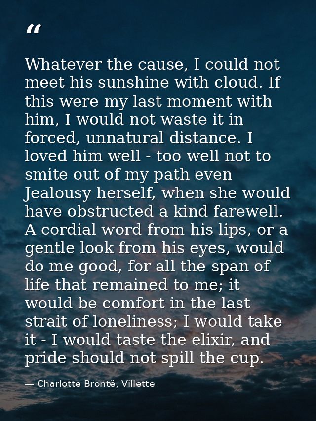Whatever the cause, I could not meet his sunshine with cloud. If this were my last moment with him, I would not waste it — Charlotte Brontë, Villette