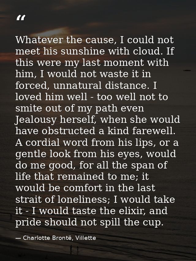 Whatever the cause, I could not meet his sunshine with cloud. If this were my last moment with him, I would not waste it — Charlotte Brontë, Villette