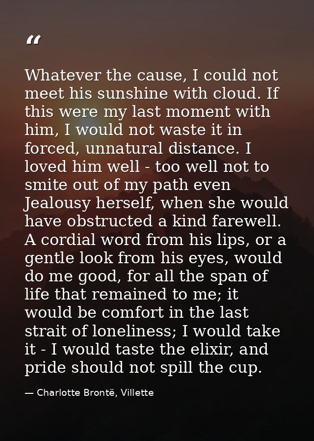 Whatever the cause, I could not meet his sunshine with cloud. If this were my last moment with him, I would not waste it — Charlotte Brontë, Villette