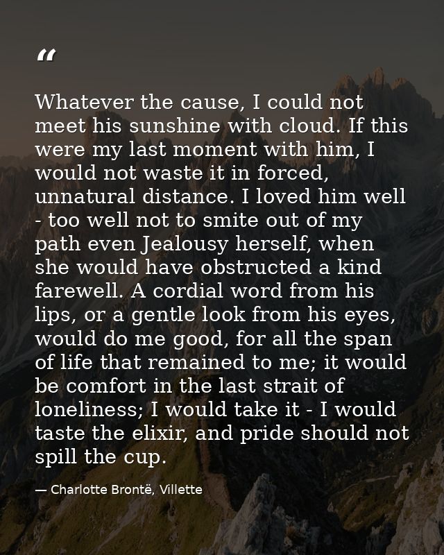 Whatever the cause, I could not meet his sunshine with cloud. If this were my last moment with him, I would not waste it — Charlotte Brontë, Villette