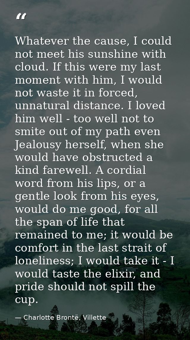 Whatever the cause, I could not meet his sunshine with cloud. If this were my last moment with him, I would not waste it — Charlotte Brontë, Villette