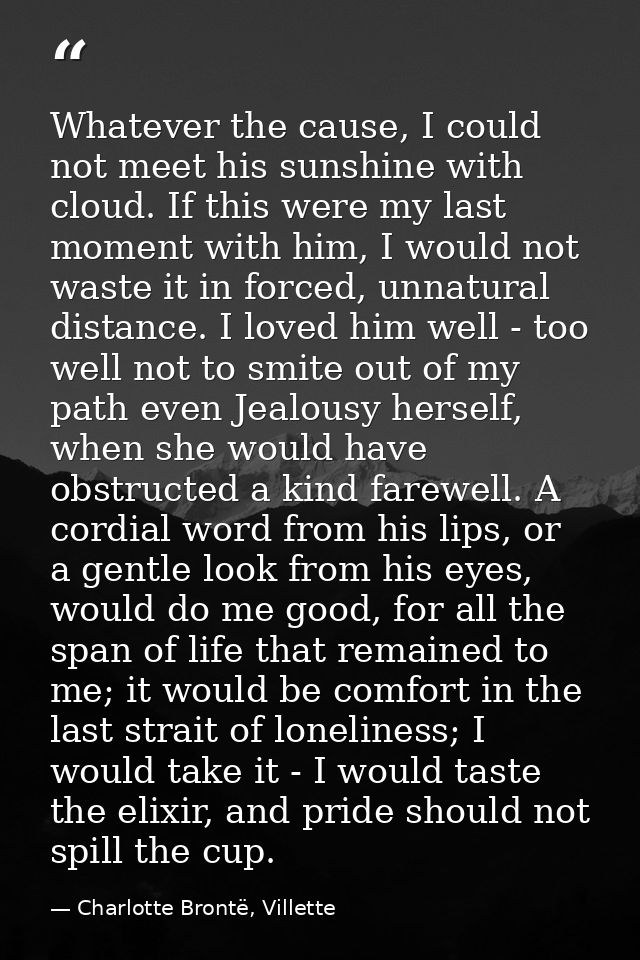Whatever the cause, I could not meet his sunshine with cloud. If this were my last moment with him, I would not waste it — Charlotte Brontë, Villette