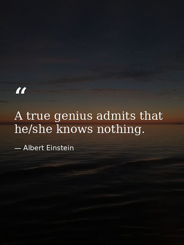 A true genius admits that he/she knows nothing. — Albert Einstein