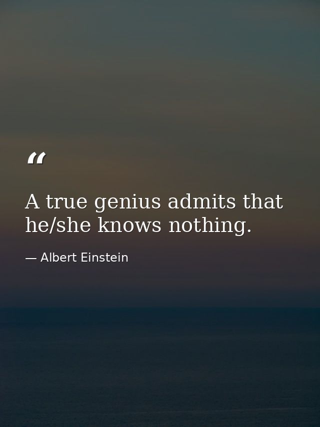 A true genius admits that he/she knows nothing. — Albert Einstein